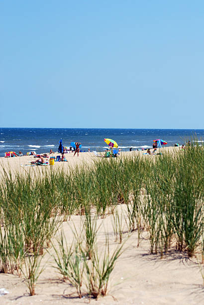 istock Colorful Beach Day Through Dune Grass 2217528613