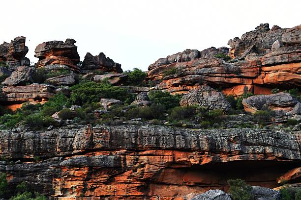 Rocky Cederberg Landscape Surrounded by Green vegetation Under sunset Sky