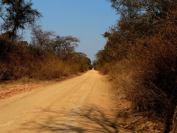 istock Dirt Road Through a Dry Zambian bushveld Under Clear Blue Sky 2217531904