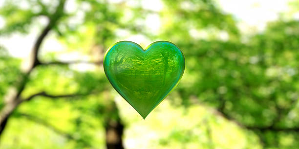 istock Love for Nature and Environment 2217542215