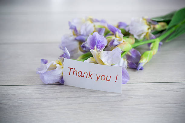 istock Spring irises in a minimalist composition with gratitude 2217544291