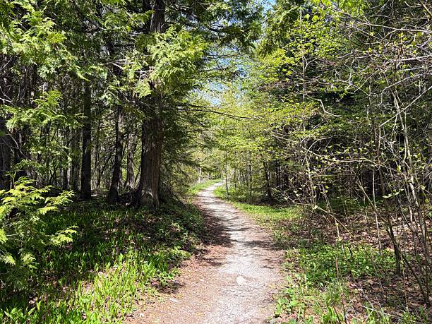 istock Mackinac Island State Park, Michigan 2217557448