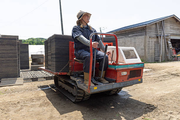 A middle-aged Japanese farm working female driving a farm tractor that carries stacks of trays
