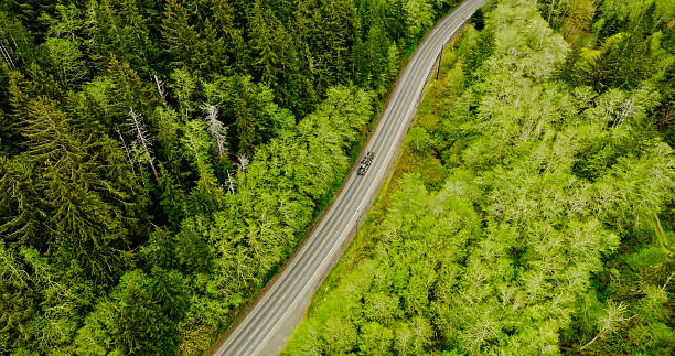 istock Logging Truck Driving Through Forest - High Angle Aerial View 2217558544