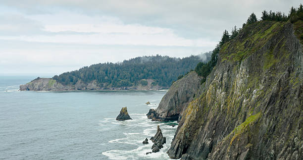 Aerial View of Dramatic Coastal Cliffs in Tillamook County, Oregon