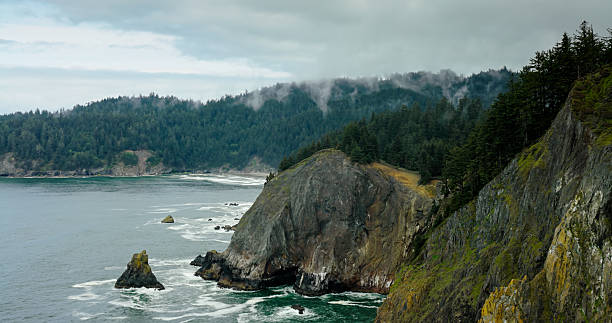 istock Aerial Shot of Dramatic Cliffs on Oregon Coast 2217559046