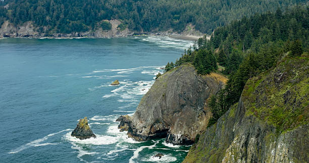 istock Bird's Eye View of Jagged Coastline and Thick Forest on Cliffs in Oregon 2217559059