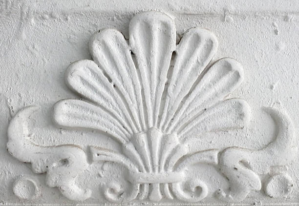 Elegant architectural detail a raised, white shell design. Use for backgrounds, textures, classic themes, or decorative element concepts. Timeless style.