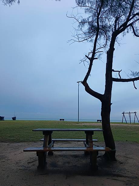 Serene view at the beach with a wooden table and bench under the tree