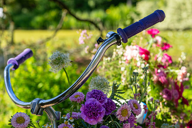 A bike decorated with fresh flowers as spring event in VanDusen Botanic Garden, Vancouver, BC, Canada