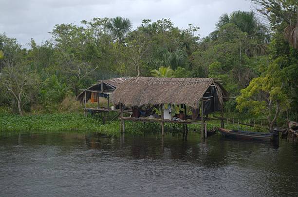 istock The great green spaces of Monagas. 2217573537