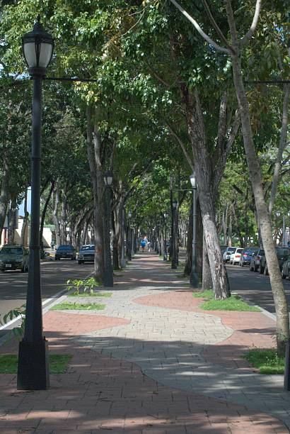 istock The great green spaces of Monagas. 2217573632