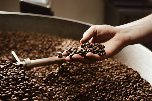 istock Person holding freshly roasted coffee beans in hand 2217582220