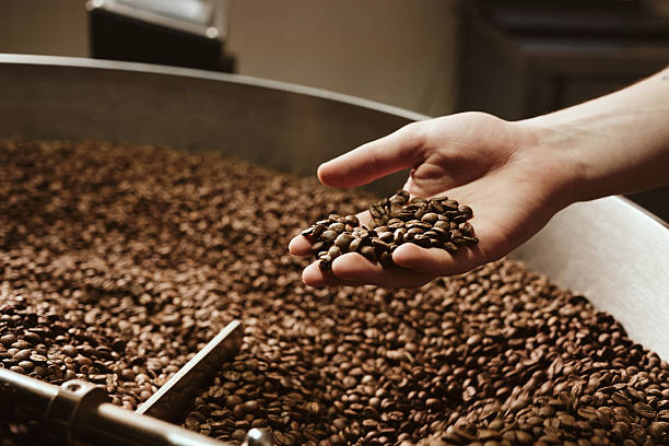 istock Person holding rich roasted coffee beans in hand 2217582224