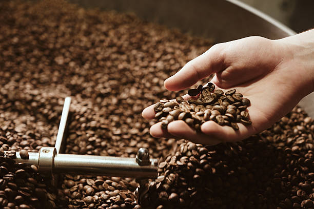 istock A hand with freshly roasted coffee beans 2217582272