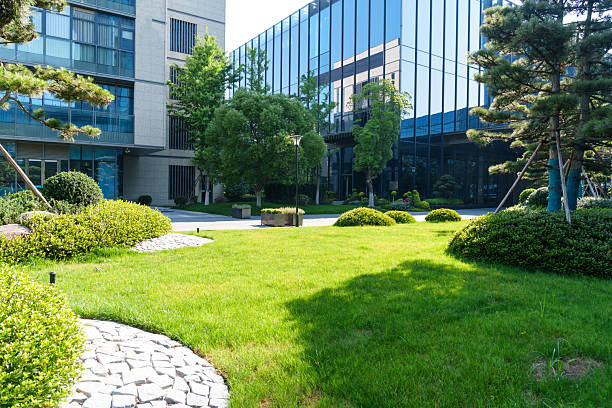 istock road in city skyline 2217582558