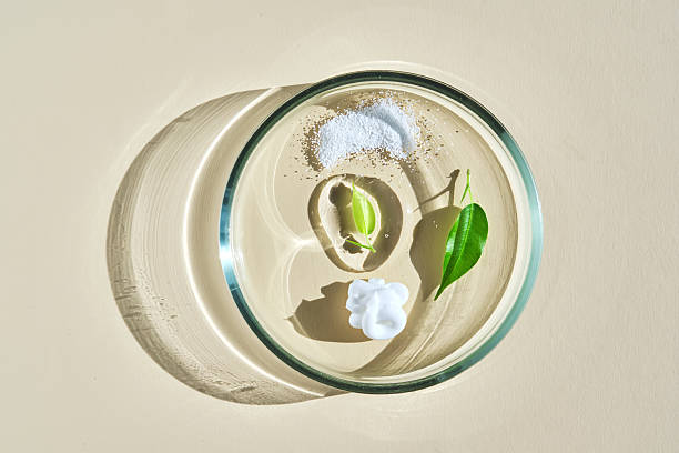 istock Various cosmetics in a petri dish on a beige background. 2217587662