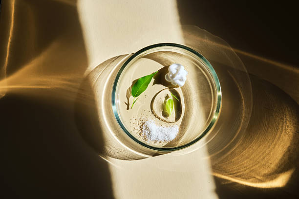 istock Various cosmetics in a petri dish on a beige background. 2217587669