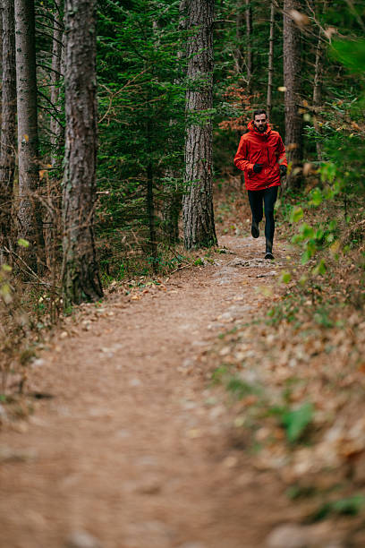 istock Jogger in Autumn Forest Trail 2217588719