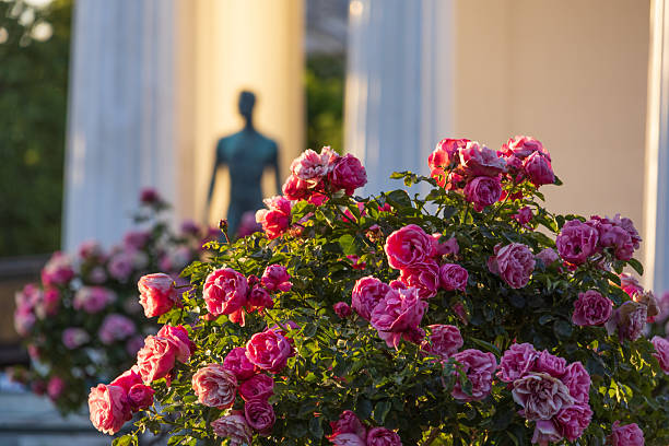 Beautiful floral arrangement in a lush garden with decorative vases in Lancut, Poland