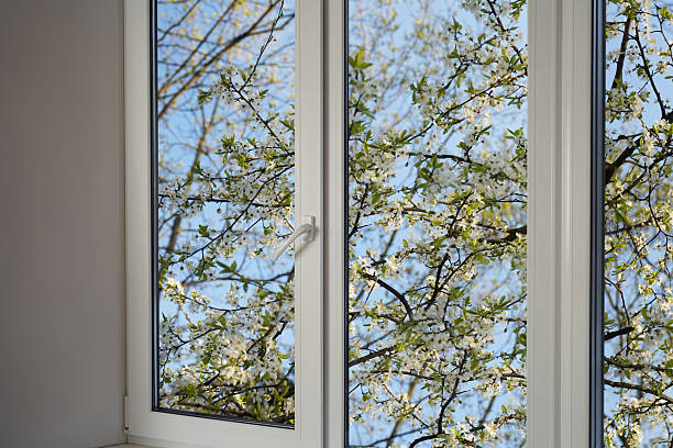 istock View from the window, blooming  trees, bird cherry blossom in a garden. 2217594672