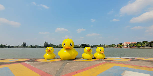 Udonthani,Thailand-April 6,2025 : One of Udonthani symbolic is Yellow ducks in front of Nong Prachuk pond.