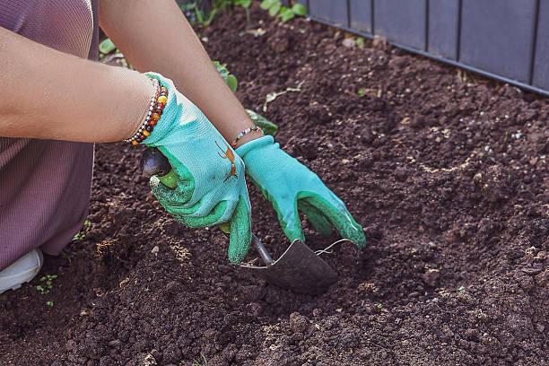 istock Digging a Hole for Planting in Garden Soil 2217602771