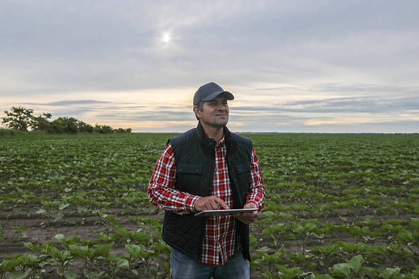 istock A 50+ Farmer uses a tablet in his field 2217603327