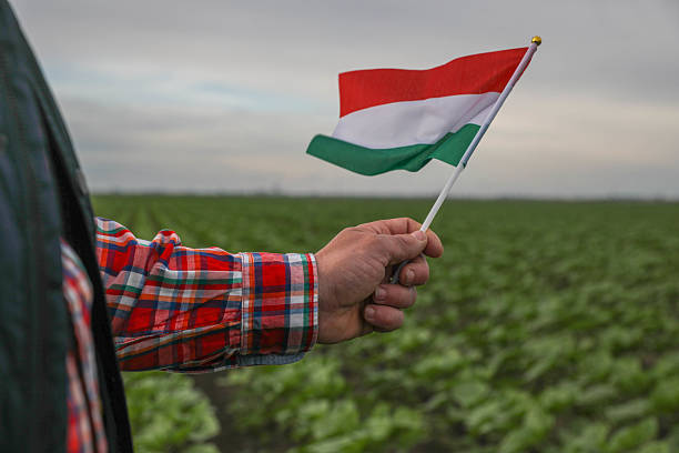 A 50+ Farmer with a Hungarian Flag