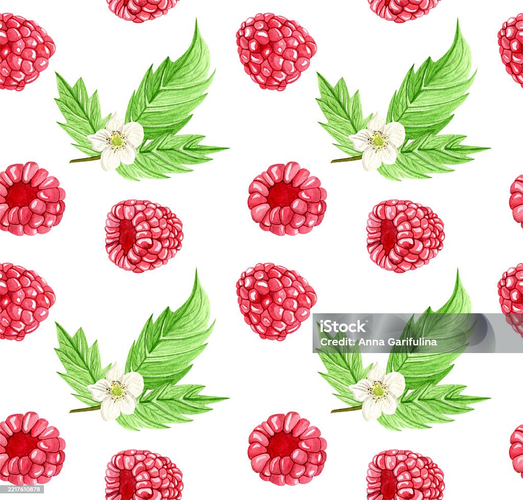 Botanical With Raspberry Patterns Seamless Watercolor Pattern With Raspberry Berries And Raspberry Leaves ...