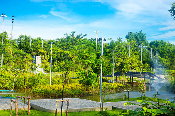 Greenery and pond in Queen Sirikit park in Bangkok Chatuchak. Park is located at  Kamphaeng Phet 2 Rd