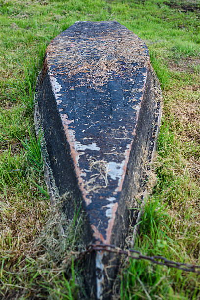 istock An overturned old wooden boat on the grass. 2217614587