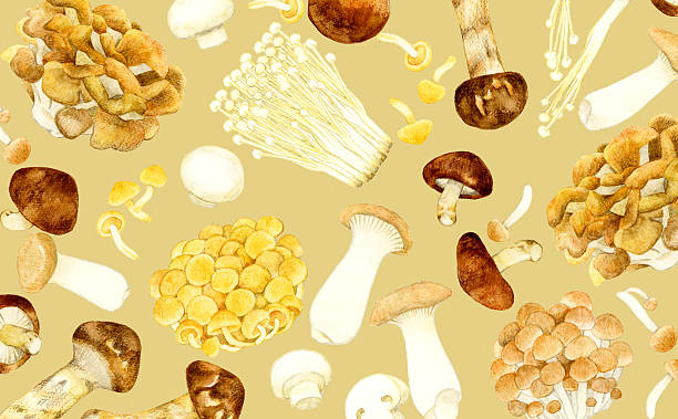 istock Edible mushroom background. Vegetable hand drawn watercolor illustration. 2217619595