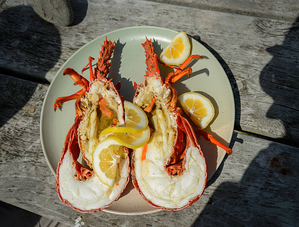 Split freshly cooked crayfish on picnic table. Kaikoura. New Zealand.
