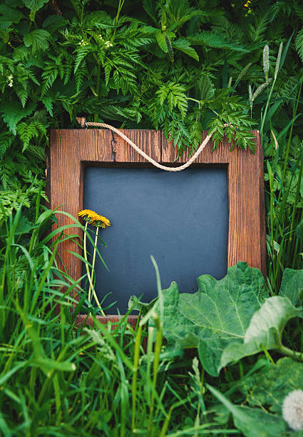 istock Rustic wooden empty chalkboard lies among green grass 2217622803