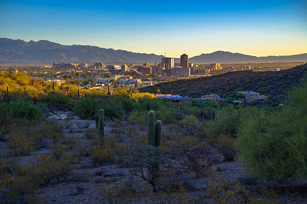 Wide sunset view of Tucson, Arizona, with downtown buildings framed by Sonoran Desert vegetation, saguaro cacti, and Santa Catalina Mountains.