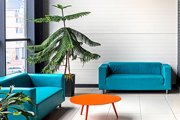 istock stylish interior with a blue sofa and a palm tree in the corner near the window 2217628482