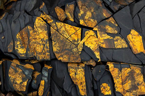 Bright yellow minerals and stones arranged on dark rocky background. Abstract natural texture perfect for geological backgrounds, earth elements, or creative product mockups needing bold natural contrast.