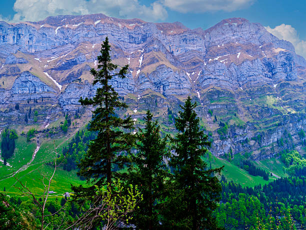 Towering mountain range rises majestically in the background, surrounded by vibrant green foliage and tall conifer trees on a sunny day, showcasing nature's beauty and serenity.