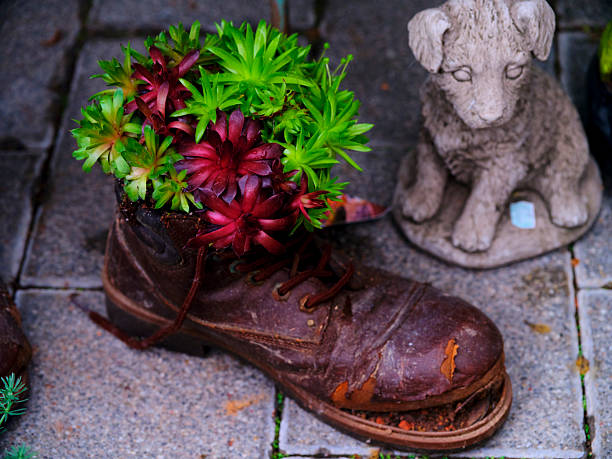 An old brown boot serves as a unique planter filled with vibrant succulents, surrounded by decorative garden stones and a small stone dog sculpture nearby in a garden.