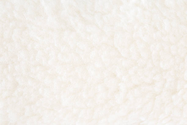 istock Clean white soft natural sheep wool background. Closeup. Top down view. 2217637631
