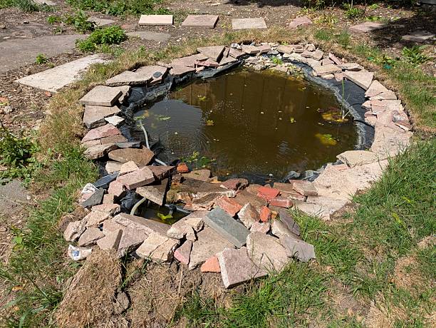 istock A DIY Wildlife garden pond that has been created with items already around 2217637640