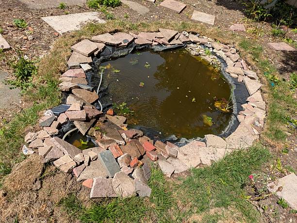 istock A DIY Wildlife garden pond that has been created with items already around 2217637642