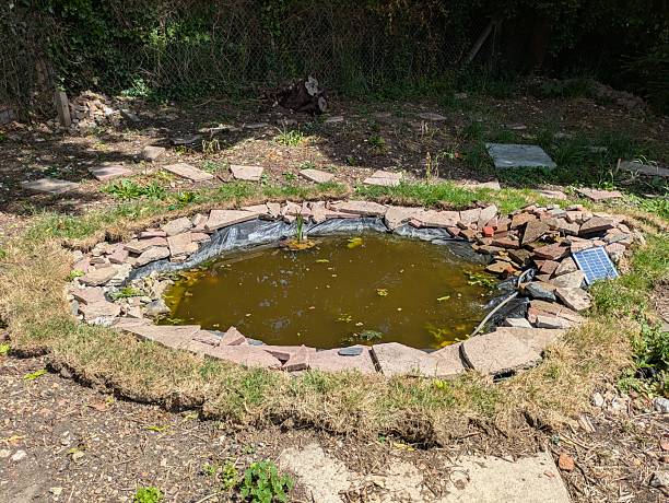 istock A DIY Wildlife garden pond that has been created with items already around 2217638007