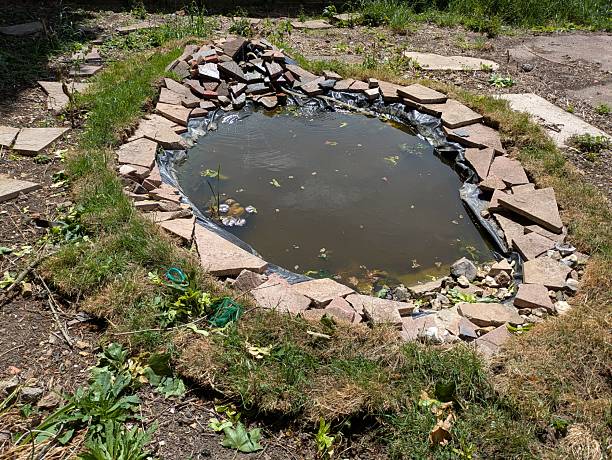 istock A DIY Wildlife garden pond that has been created with items already around 2217638012