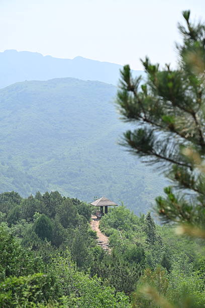 istock A solitary pavilion perches atop emerald peaks, its curved eaves piercing the mist like a brushstroke in an ancient Chinese landscape painting. 2217653728