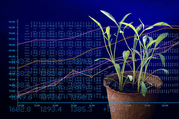 istock Growth Concepts Young Plants in Pot with Data and Graph 2217655958