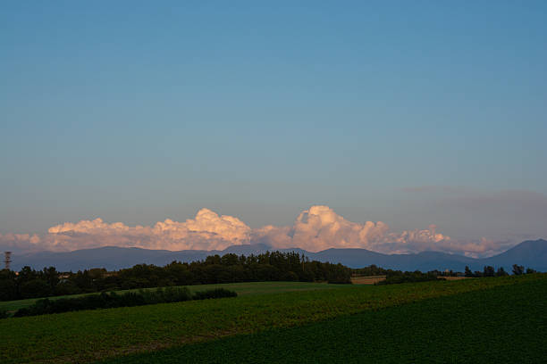 Green vegetable fields and mountains in the setting sun