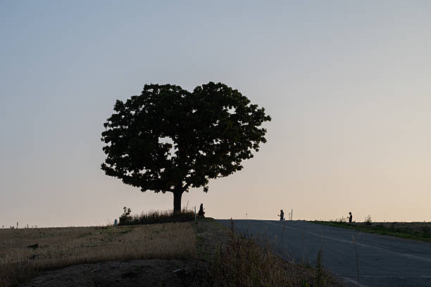 Young family walking with their baby girl in a baby carrier backpack and spending a sunny day in nature together. They are seen walking  in the distance.