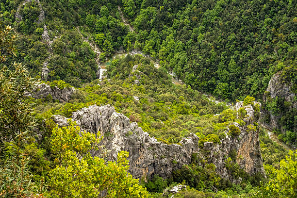 view from above. cliffs covered with forest. with waterfalls and cliffs under Mount Olympus